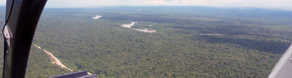 Arman Larmer Surveys Ltd